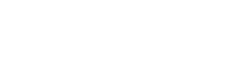 Logo Pallet Portal